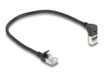 Tinklo kabelis DeLOCK RJ45 Cat.6A 0,25m Juodas
