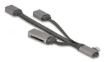 DeLOCK 64303 USB 3.2 Gen 1 Type-C USB centras 5000 Mbit/s pilkas