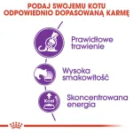 Royal Canin Sensible 33 sausas maistas katėms, 2 kg