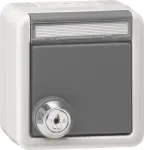 Gira 456930 Schuko lizdas su užrakinamu atlenkiamu dangteliu, vienodo rakto, baltas blizgus