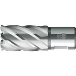 BDS HSS standartinis žiedinis grąžtas 12,0 mm skersmens, 30 mm gręžimo gylio, Weldon kotu (KBK-012)