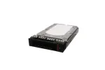 Lenovo 4XB7A77446 vidinis kietasis diskas 2 TB 7200 RPM 3.5 colio Serial ATA III