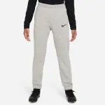 Nike Park 20 Fleece kelnės vaikams &scaron;viesiai pilkos CW6909 063
