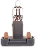 BUSCH-JAEGER Steck-Glimmlampe 8338-1 Priedas 8338-1 (1784-0-0057)