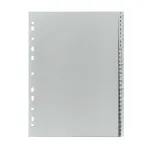 Skiriamasis skirtukas Herlitz 10843712 Pilka