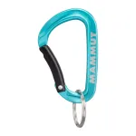 Mammut Mini Carabiner Classic Keylock S - sidabrinė/pilka