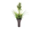 EUROPALMS Dirbtinės žolės kompozicija, 90 cm, žalia, juodame vazone 82600137