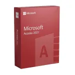 Microsoft Access 2021 licencija verslui