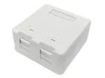 Lanview LVN127767 lizdinis ki&scaron;tukinis tinklo lizdas 2 x RJ-45 Baltas