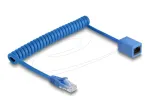 Tinklo kabelis DeLOCK 90365 1,2m Cat6 U/UTP