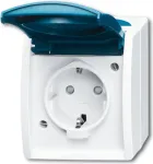 Busch-jaeger 2CKA002083A0842 Blue