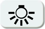 BJ - Reflex SI - Tastersymbol Licht *alpinweiss* (2525LI-214)