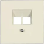 JUNG LS 969-2 UA - RJ-45 lizdas, 2x8 UPO, dramblio kaulo spalva, termoplastas