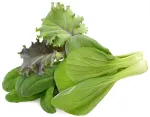 Click & Grow PPMAGX9 Smart Garden Plant Pods 9 vnt. (įvairių rū&scaron;ių, biologi&scaron;kai skaidūs, su gaubteliais)