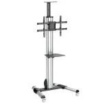Mobilus televizoriaus stovas StarTech.com TV Cart &ndash; auk&scaron;čio reguliavimas, ratukai su fiksavimu, 40 kg, 81,3 cm (32 col.), 190,5 cm (75 col.), 200 x 200 mm &ndash; 600 x 400 mm, 1110 &ndash; 1510 mm
