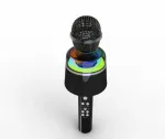 Belaidis karaoke mikrofonas su garsiakalbiu Gembird GMB Audio MICBT-01-BK
