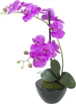 EUROPALMS dirbtinė orchidėjų kompozicija 4, baltos falenopsės keraminiame vazone, 60 cm 82530349