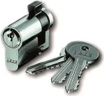 Busch-jaeger 2CKA000470A0021 Sidabrinis