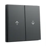 GIRA System 55 Wippe 2f Pfeil dengiamasis dangtelis, antracitas (329428)