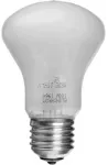 Modeliavimo lempa Elinchrom 100 W 196 V E27, 3200 K (EL-23002)