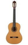 Prodipe Guitars Soloist 900 4/4 - klasikinė gitara
