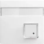 Busch-Jaeger centrinė plok&scaron;tė Alpinės baltos spalvos UAE/TAE moduliams 1582-0-0397
