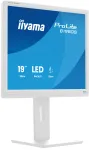 Monitorius iiyama ProLite B1980S-W1 48,3 cm (19 colių) 1280 x 1024 pikselių LED baltas