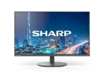 Sharp MultiSync DD-E224F 21,5 inch Full HD IPS Business Monitor - Black