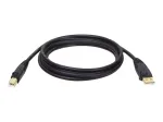 Tripp Eaton Tripp Lite Series USB 2.0 A to B kabelis (M/M)