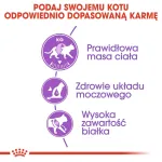 ROYAL CANIN Sterilised 37 sausas kačių ėdalas - 10 kg