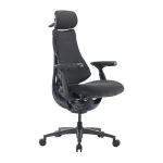 LiberNovo Omni Pro 48 cm ergonomi&scaron;ka kėdė (grafitas)