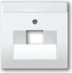 BUSCH JAEGER 1710-0-3165 &ndash; baltas &ndash; įprastas &ndash; Busch-Jaeger 0230-0-0227 &ndash; 63 mm &times; 63 mm