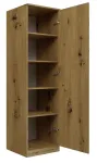 Topeshop SD-50 ARTISAN KPL bedroom wardrobe/closet 5 shelves 1 durelės(s) ąžuolas