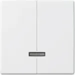 Busch-jaeger 6545-914