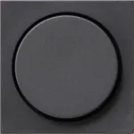 Gira 065028 dimmerio dangtelis System 55, Standard 55, E2, Event, Event Clear, Event Opaque, Esprit, ClassiX, antracitinis