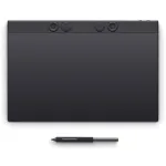 Wacom Intuos Pro Large grafinė plan&scaron;etė Juoda 349 x 195 mm USB/Bluetooth