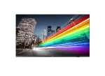 Philips 65BFL2214/12 profesionalus ekranas 165,1 cm (65 colių) LED Wi-Fi 350 cd/m&sup2; 4K Ultra HD juodas Android TV