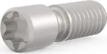 SCHROFF tvirtinimo varžtas M2,5 x 9 mm Torx T8, plieninis, 100 vnt. (21102980)