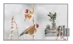 LG 55EW5P-M Skaidrus OLED ekranas 139,7 cm (55 col.) Full HD 600 cd/m&sup2; Sidabrinis Liečiamas 18/7