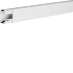 Hager kabelinis kanalas LF3004509016 30x45mm eismo baltumo (RAL 9016)