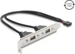 Delock USB 2.0 lizdo laikiklis su 2 x EASY USB Type-A prievadais