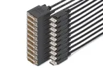 Digitus DisplayPort &ndash; DVI adapterio laidas, 10 vnt. pakuotė
