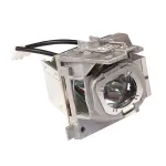Projektoriaus lempa Viewsonic RLC-125