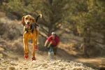 Ruffwear Grip Trex &scaron;unų batai &ndash; Obsidian Black, XS (pora)