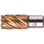 BDS HSS-VarioPLUS 16 mm žiedinis grąžtas, 30 mm gręžimo gylis, Weldon kotas KBK-VP016