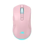 Belaidė pelė Baracuda BGM-124 Turtle Pink TURTLE-P
