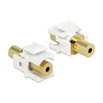 DeLOCK Keystone modulis 3.5 mm lizdas, baltas, 86363