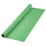 Hama 00021534 kartoninis fonas, 2,75 x 11 m, tinkamas žaliajam ekranui, mėtinės žalios spalvos