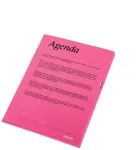 Esselte aplankas 105my A4 dėžutė po 100 vnt., A4, polipropilenas (PP), raudona, vertikali, 220 mm, 1 mm