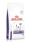 Royal Canin VHN Dog Dental Small sausas maistas &scaron;unims, 2 kg
